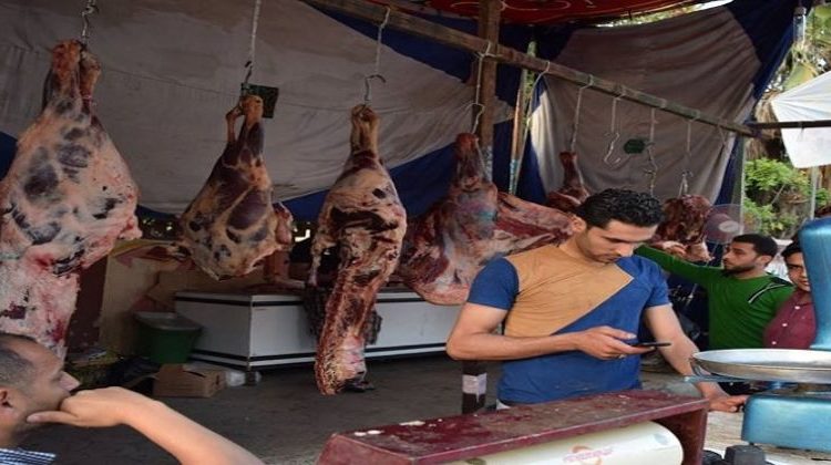 مشكلة شوادر بيع اللحوم